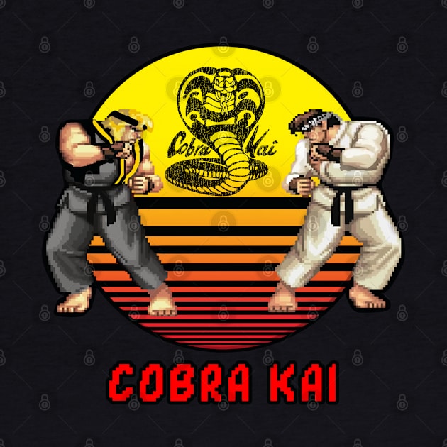 Cobra kai combat by loveislive8